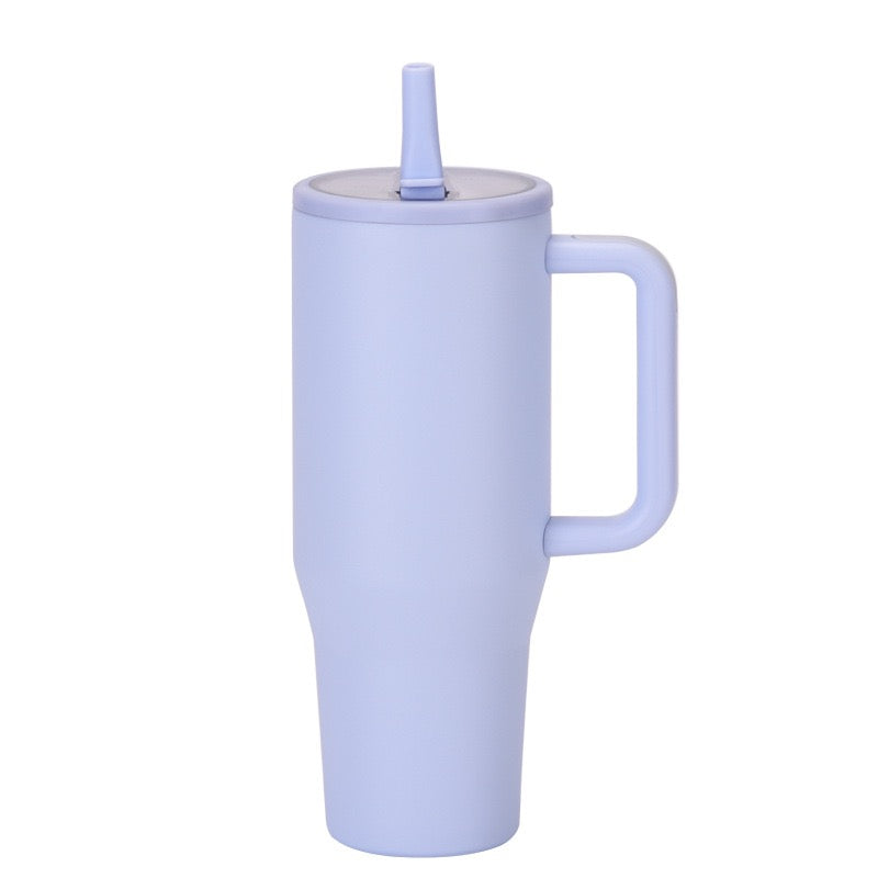 Insulated Stainless Steel Travel Bottle - BM-S005B
